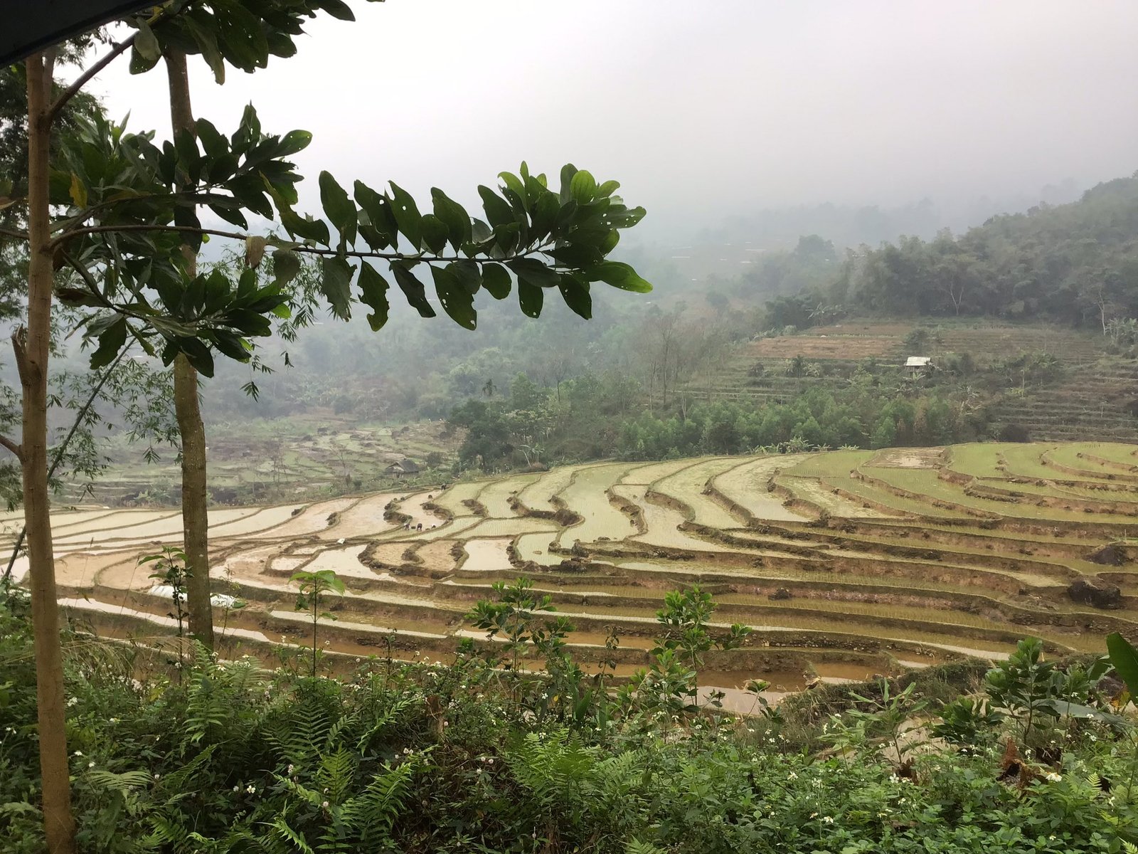 E-Bike Cycling Tour: Hanoi - Ba Be - Ha Giang 7 Days